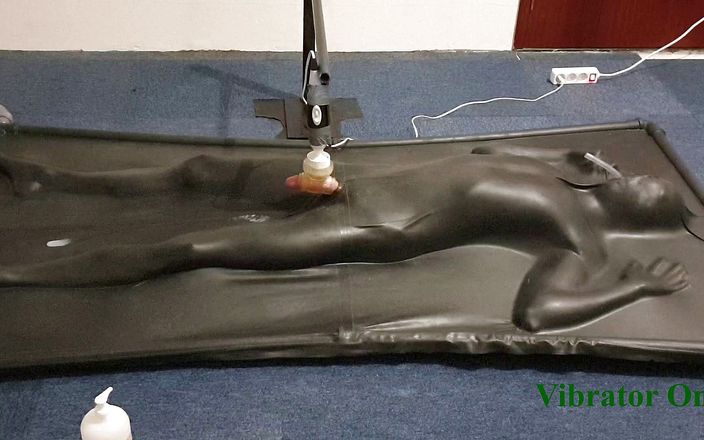 NL Milking: Milked by controlled vibrator in vacbed