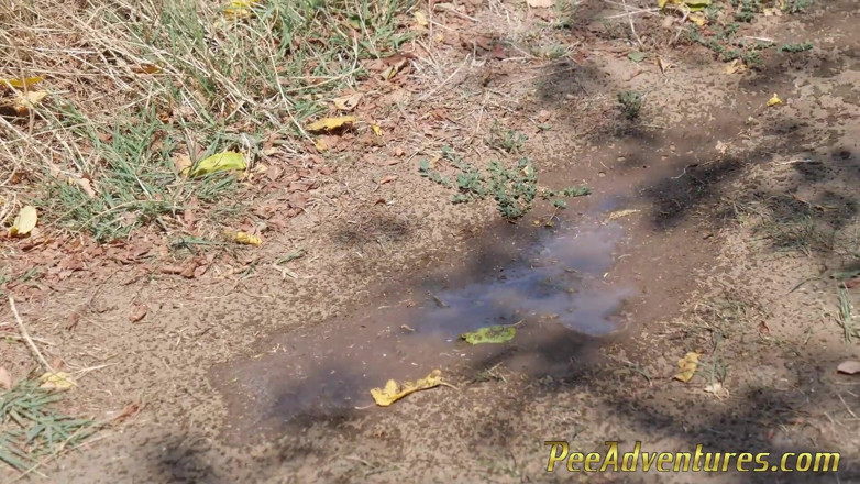Pee Adventures: Pee standing on a dirt road in the countryside