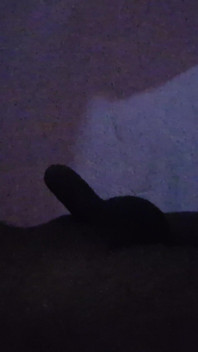 Bhabhi Sucked and Fucks the Whole Night
