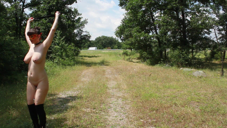 Za Za: Za Za奴隷訓練とバケツの猫