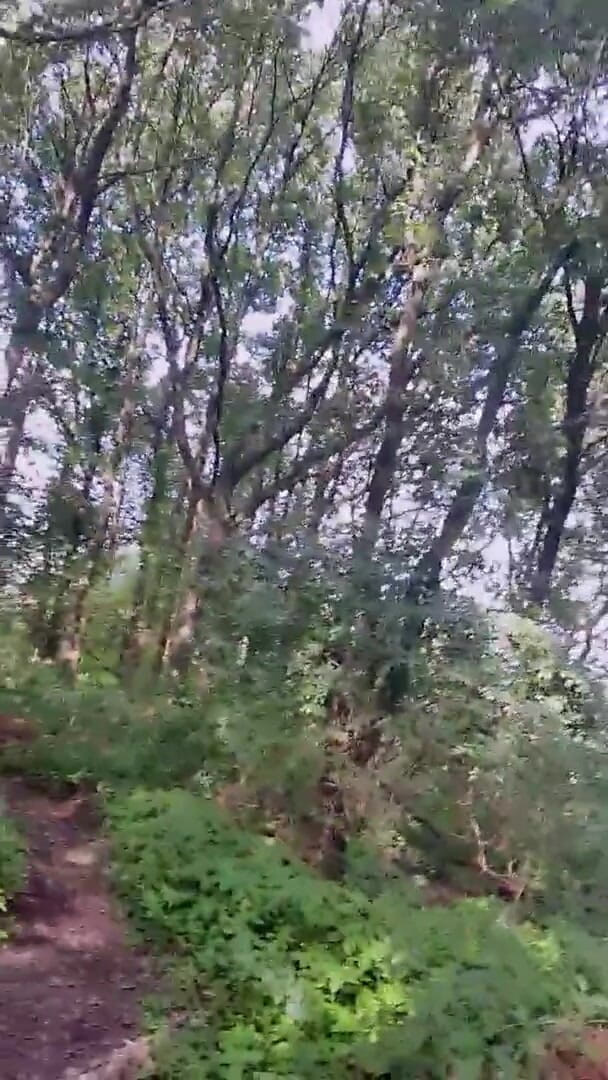 Slutboyben: रंडीबॉयबेन कैम4 सेक्सी मंडरा रही लड़की iii लाइव आउटडोर एक्सपोजर