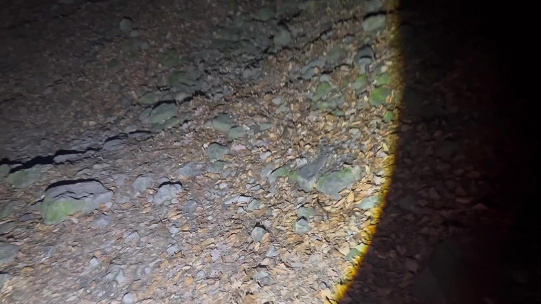 Putarankahotmilf: Drumeții de noapte și eliminați cele mai multe dintre hainele mele