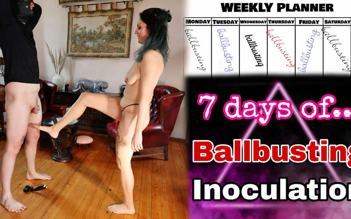 Training Zero: 7 dias de ballbusting