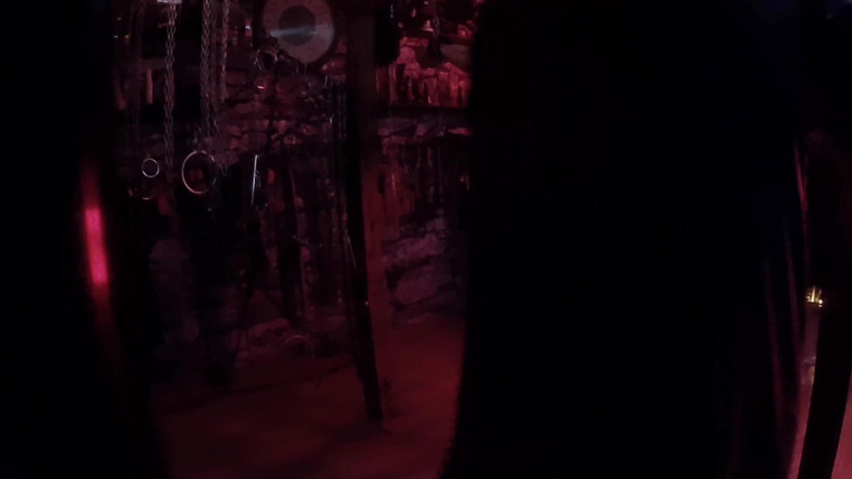 Aaexperinces trans: Parte 2 - Primeira Experiência da Allegro com Urso Lanista