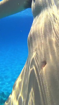 Une superbe fille nage nue sur une plage publique