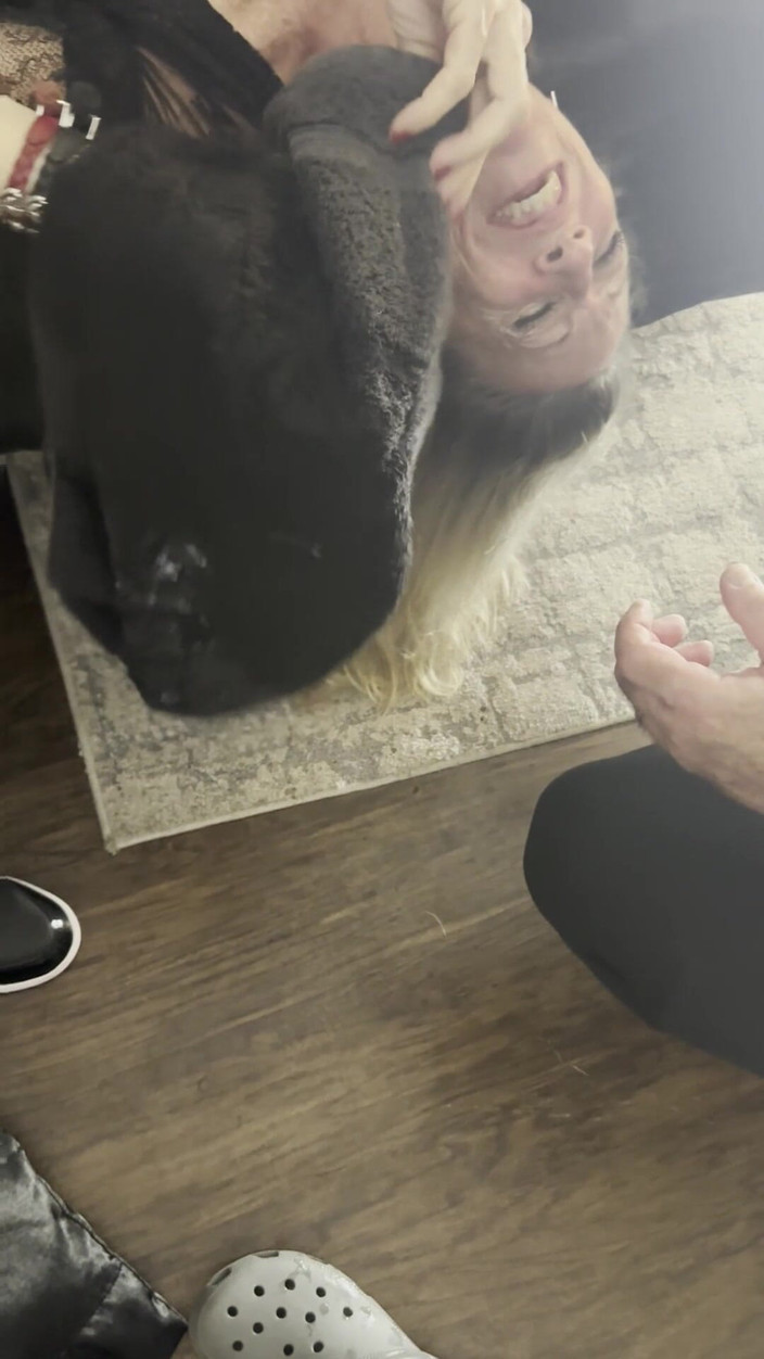 Creampiekaty: Le Meilleur Facepie De Bukkake De Tous Les Temps