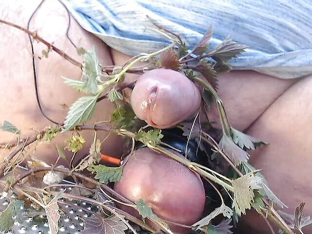 Gaylectrician: Развлечение с крапивой