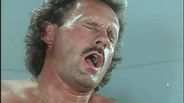 Inhonorof porn: A House Full of Hairy Pussies Ready to Be Penetrated