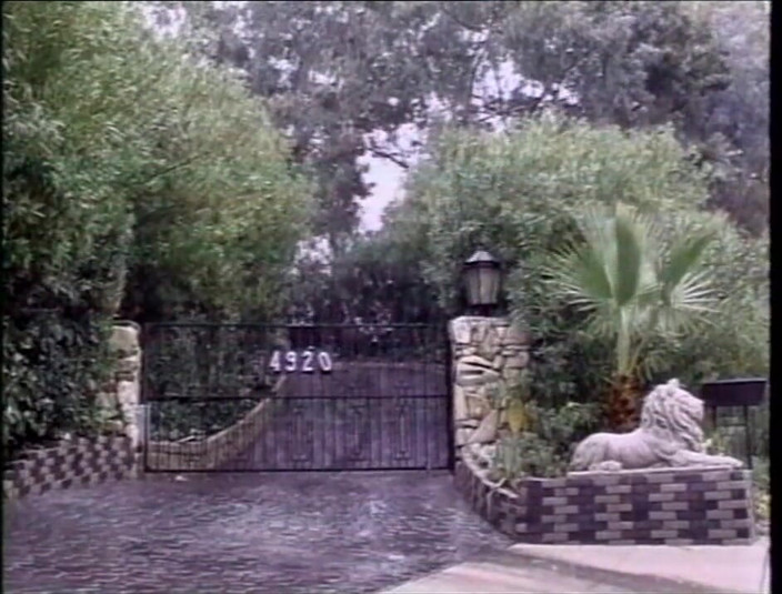 Vintage megastore: Anální návrhy