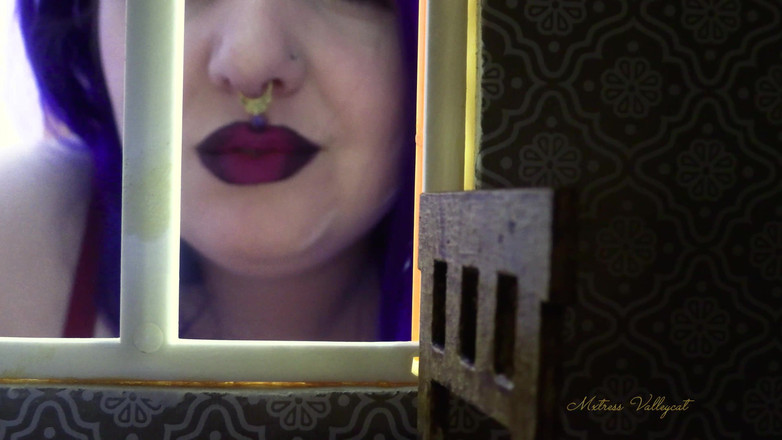 Mxtress Valleycat: Příběhy z čarodějnice