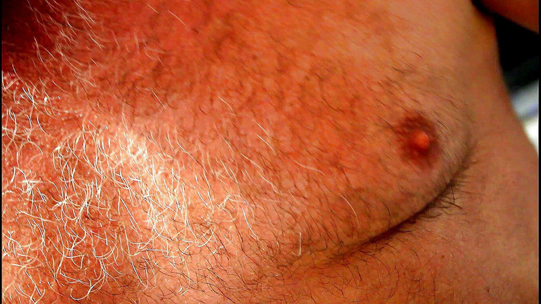 Gaybear1966: Gay medvěd s velkým břichem svalnatý medvěd biceps trénink. Film...