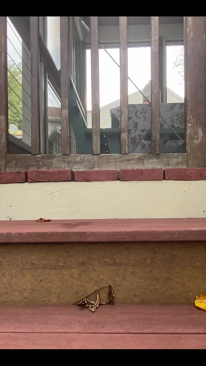 TheSatyrBoy: Đụ đồ chơi cho đến khi tôi thổi kèn