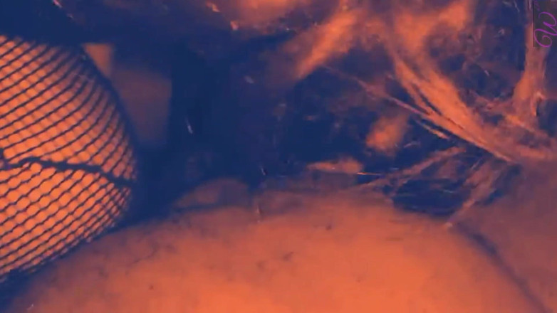 Whos nxt production: Förstör Vit Petite Femboy Granne Med Min BBC