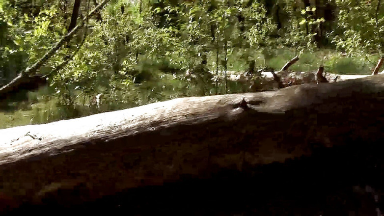 German amateur - 100% German hardcore videos: La bella scopata di coppia nella natura