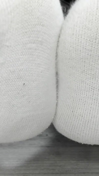 Smell Socks