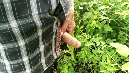 Desimast7: Krásná hrací péro na zahradě