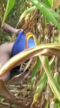 Flat boy fucked by twink in exhib outdoor
