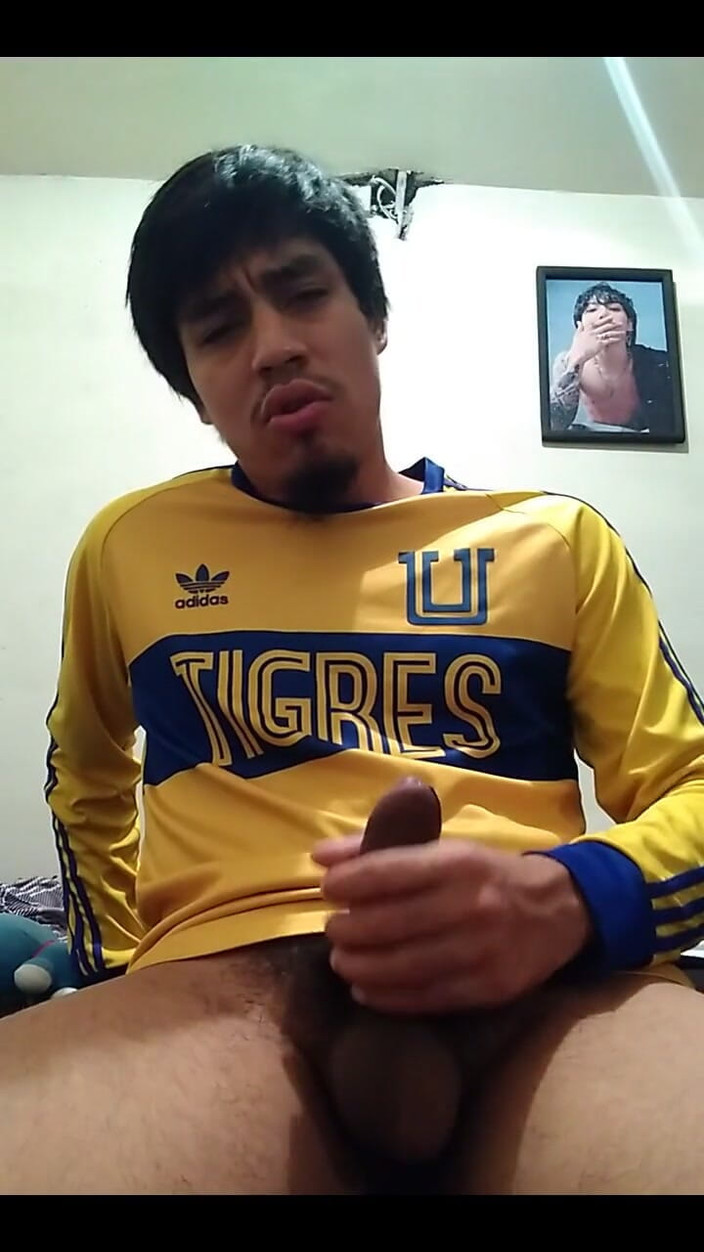 AlexAlejandro13: Tigres पर आओ, मैं अमीर वापस आ रहा हूं ।