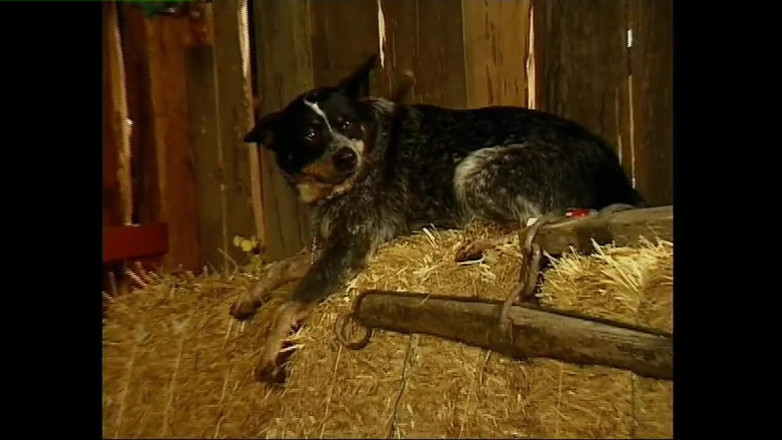 Heatwave Porn: Homey in the Haystack, Part 1