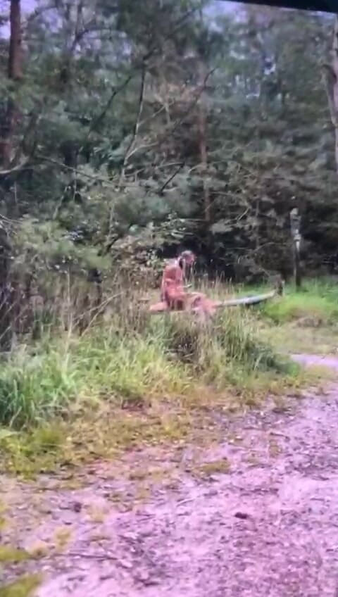 Benb Studio: 罰として木に縛られる