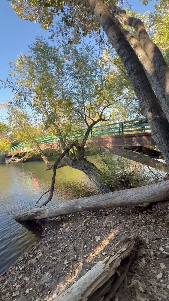 unemployedrobot: Masturbazione pubblica di boise Idaho greenbelt pista ciclabile