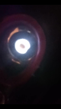 To the Cinema with a Vibroplug