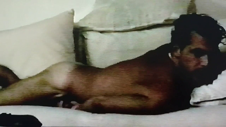 Cory Bernstein: 팬과 전화 섹스를하는 남성 유명 인사 코리 번스타인의 빈티지 2000 홈 홈 섹스 테이프!