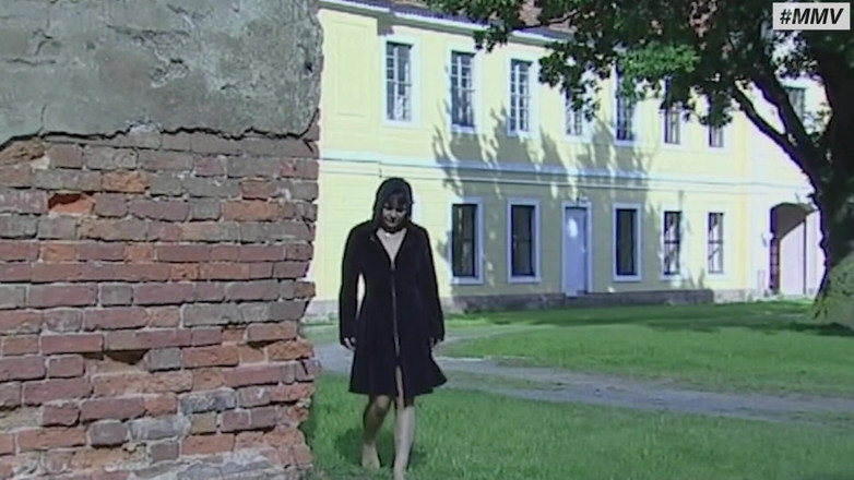Absolute BDSM: Sado-maso german de conversie