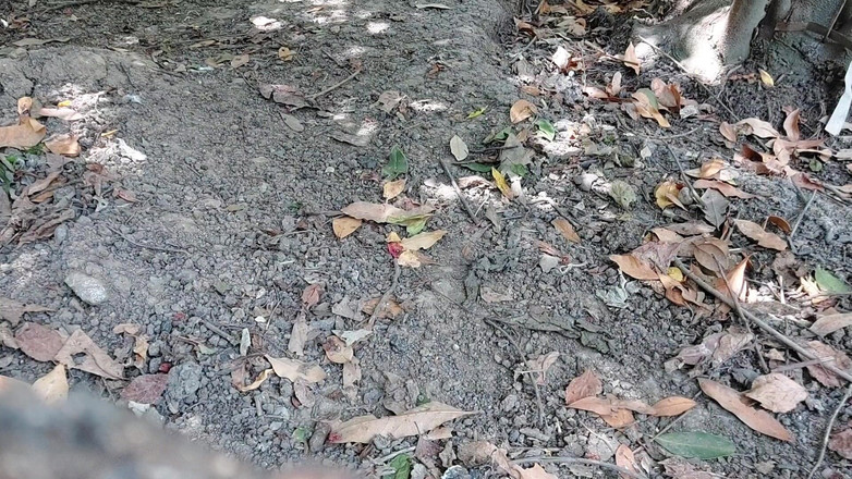 Kitty_Cross: Камшот наконец-то реализован от симпатичного члена хорошенького ледибоя