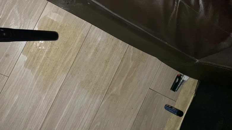 Danmel X: Zbudowany do przełknięcia - zaprogramowany do bycia posłusznym