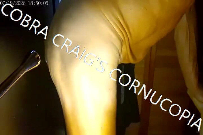COBRA CRAIG: 7-19-2026 Take It Fuckin Easy Cobra