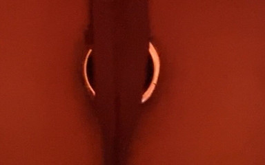 Number F 19: POV: Buttplug Pushdowns on You