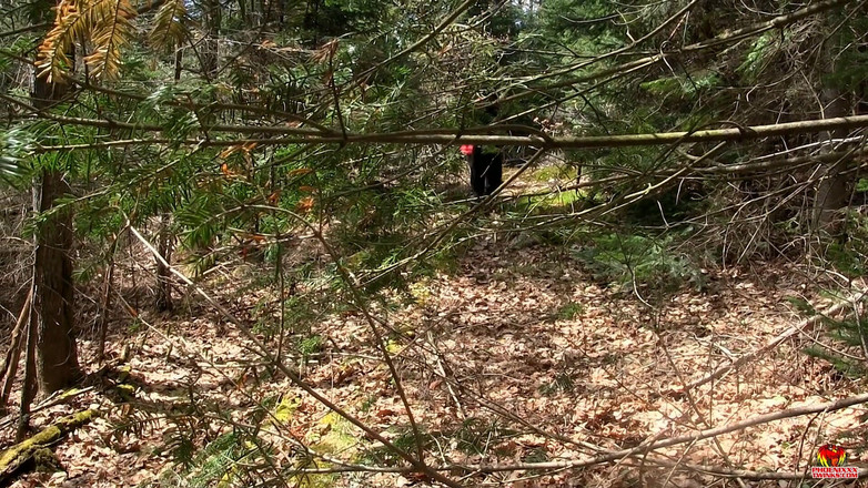 Phoenixxx: केबिन में लकड़ी Daniel हर इंच लेती है