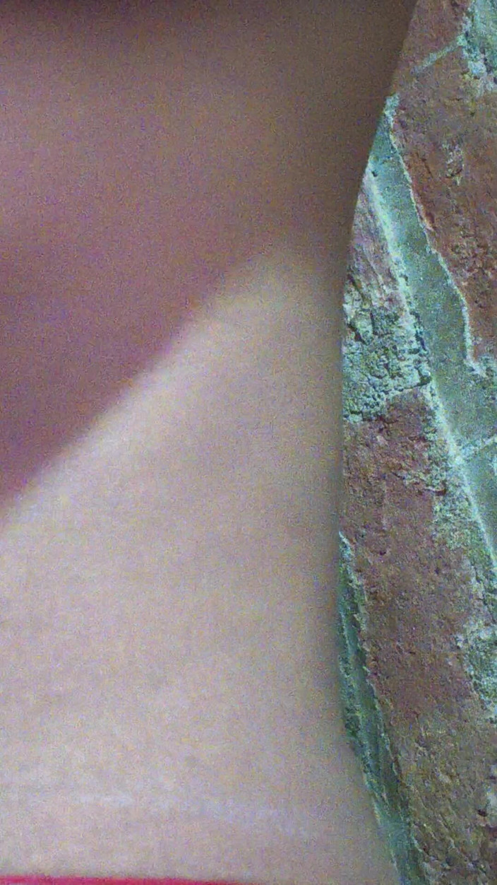 Moma: セクシービデオ