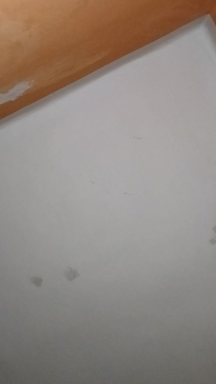 frapla: Sex Dolls Amateur