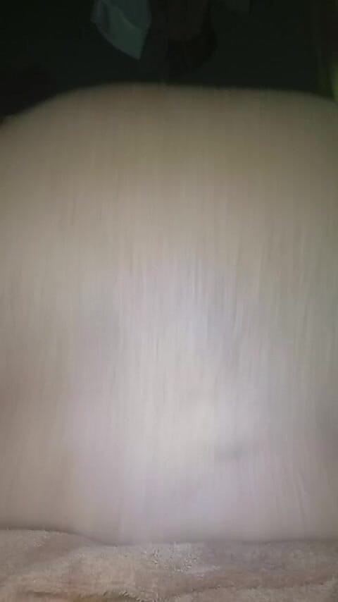 Africatrans: Azgın Tgirl Çiftler Sert Sikişiyor.