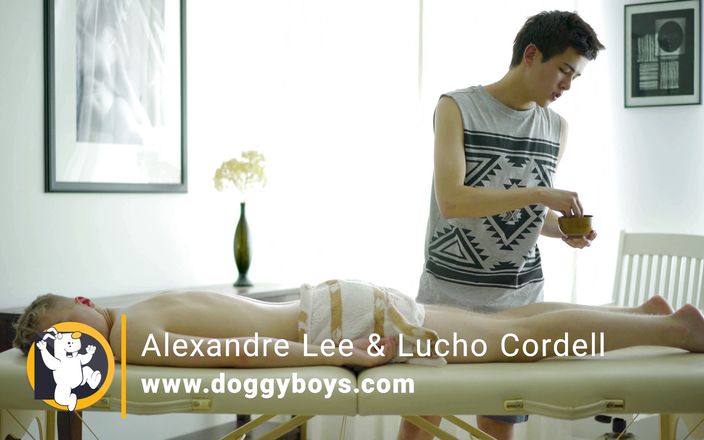 Doggy boys: Teen twink boys power fuck after erotic oil massage