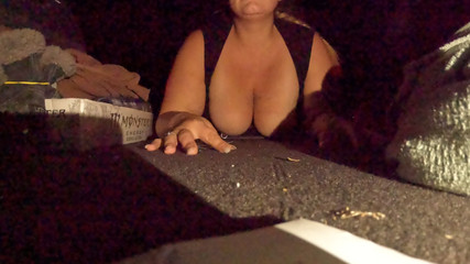 ScaninForFun: Sexo no carro em uma estrada traseira