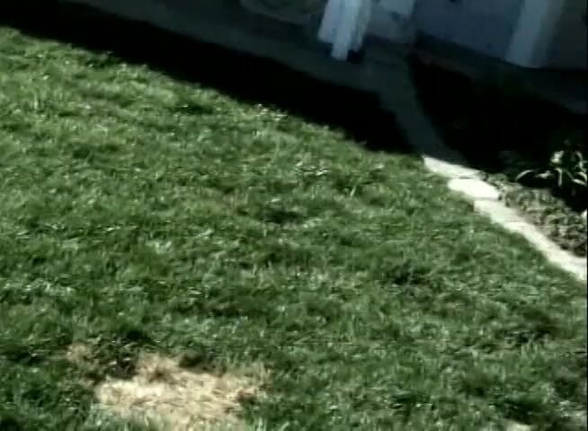 Teens Get it Hard: Amazing brunette teen pussy licked and doggystyled outdoors