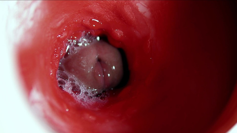 SEXY_GUYBEST: Velký krásný pták hojně proudí dovnitř mokré kluzké díry a...