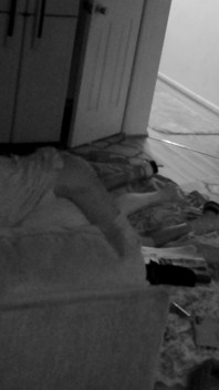 Wake up Ms. Cheryl Pt. 2