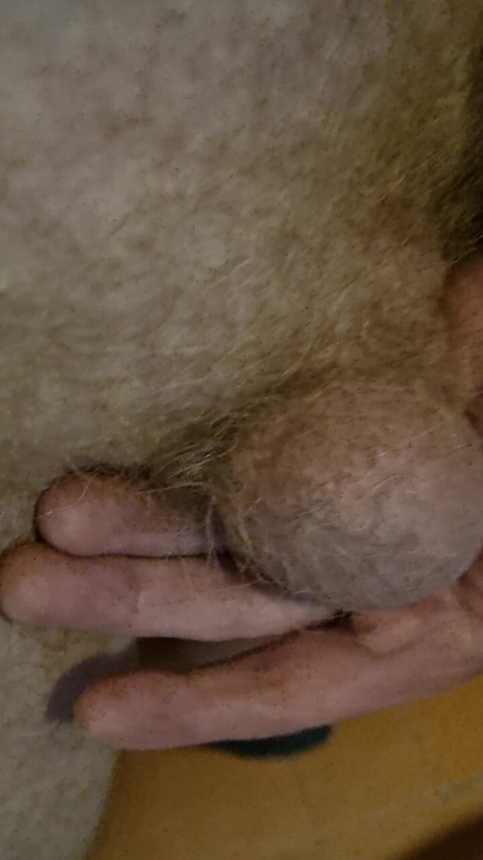 Mr sexhungry dick: Ma bite et mes couilles qui dansent