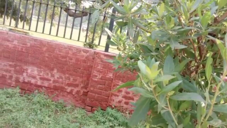 Desiboy gay: ホットボーイ・セックス・パキスタン人