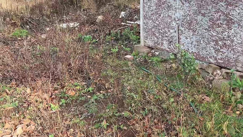 sweethanajapanese: Piswater, lopen naar de tuin