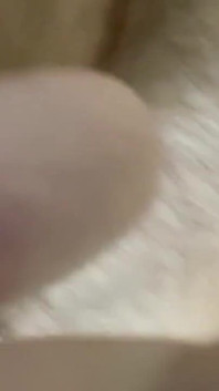 Stepdaddy Bear Jack off