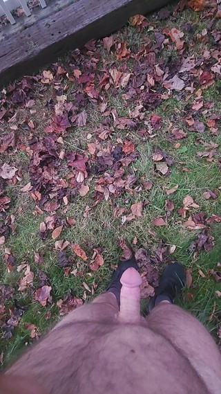 Djk31314: In giro per la casa