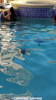Cuckquean POV - BBW Cuckcake Fucks My Husband in Outdoor Pool While I Film Underwater
