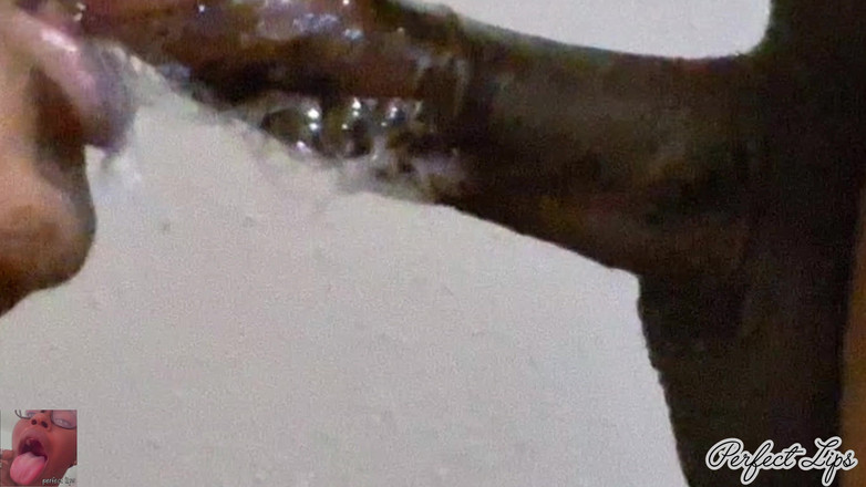 Pperfect lips: 柔らかい唇がペニスをしゃぶる 超乱暴