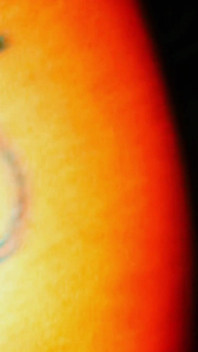 I Love Sexlovered