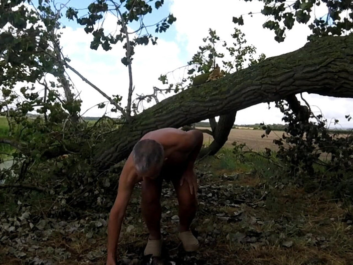 Andy: Caminhada 45 2025